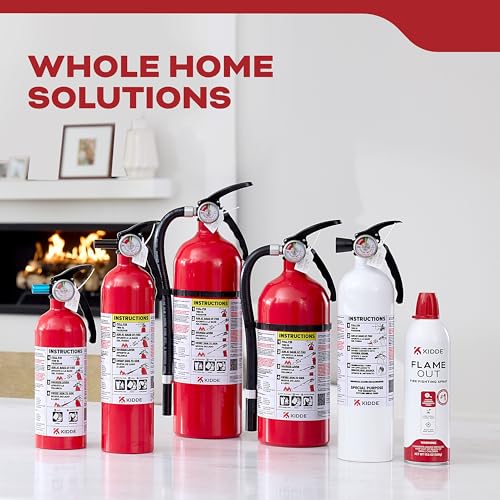 Kidde Multi Purpose Fire Extinguisher for Home, Office, Dorm, Residential, 1A10BC, 2 Pack